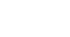 Belize In America logo - white
